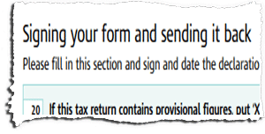 Tax Return Page TR8 Snippet
